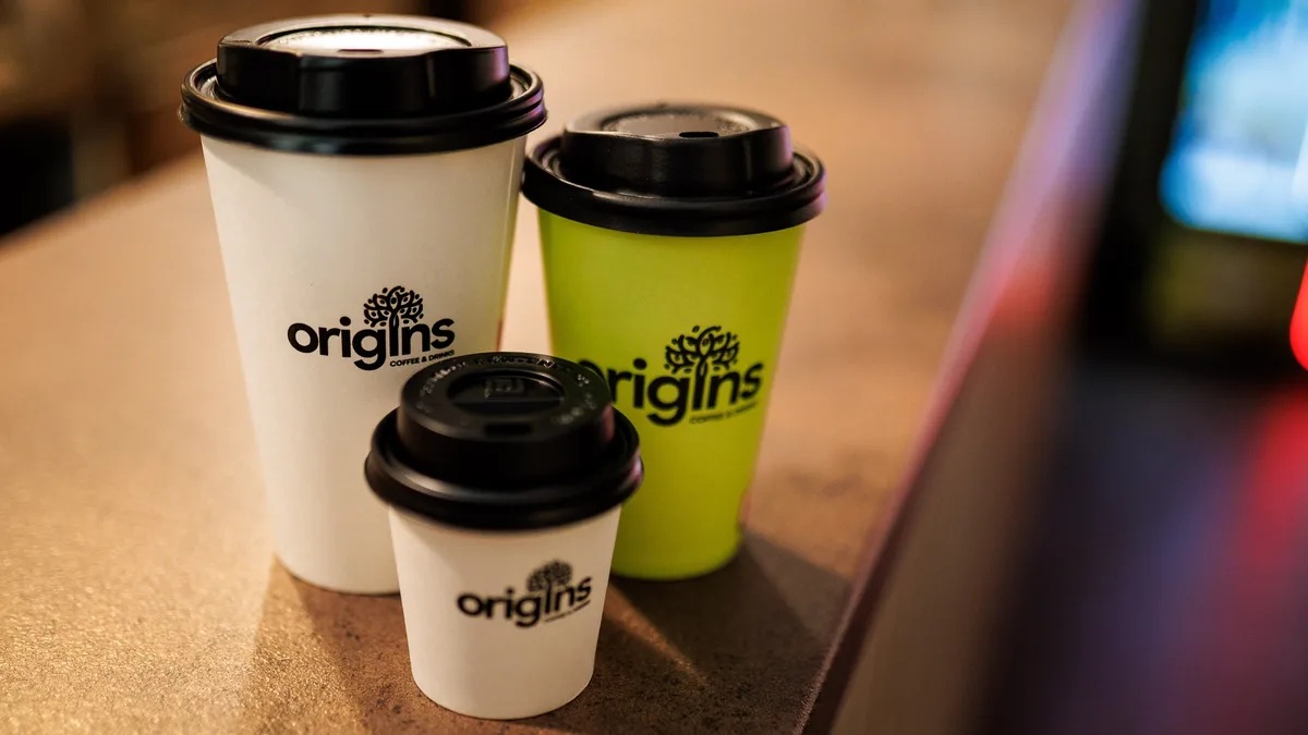 Origins Gara Mare