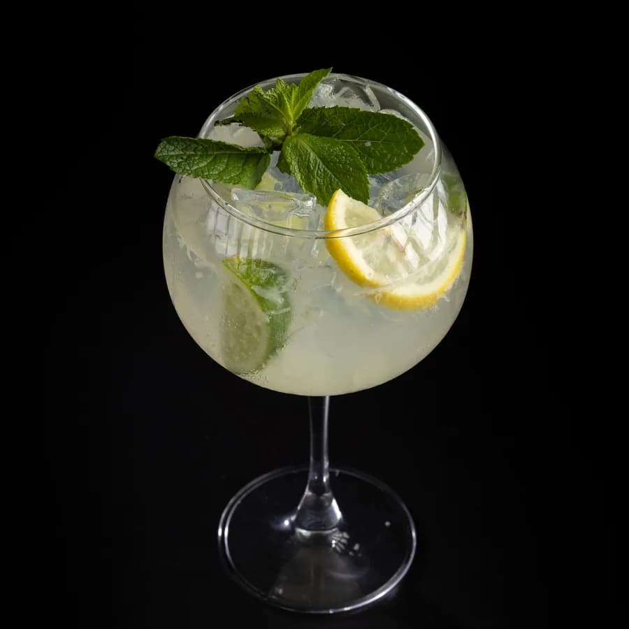 Gin Tonic
